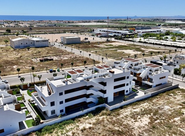 Reventa - Apartamento / Piso - Pilar de La Horadada