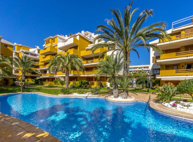 Herverkoop - Appartement - Torrevieja - Punta Prima