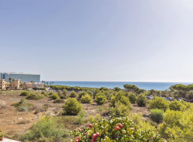 Herverkoop - Appartement - Guardamar del Segura
