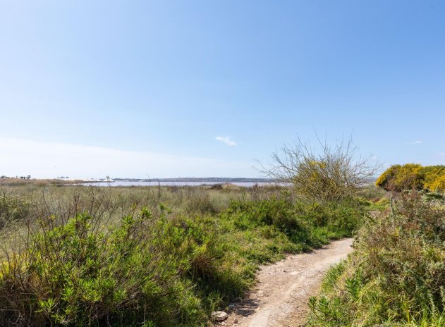 Herverkoop - Appartement - Torrevieja - Torretas