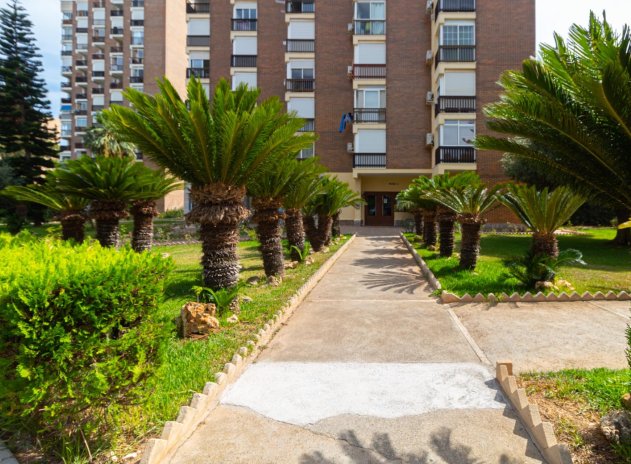 Herverkoop - Appartement - Orihuela Costa - Campoamor
