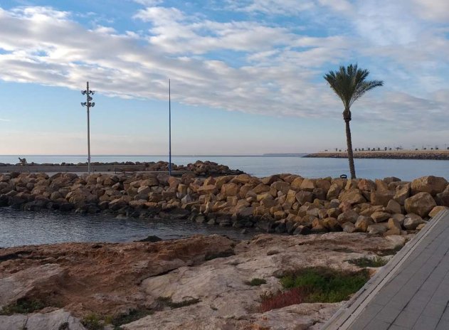 Herverkoop - Appartement - Torrevieja - Acequion