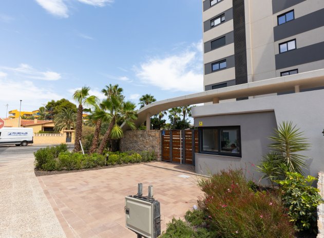 Herverkoop - Appartement - Torrevieja - Punta Prima