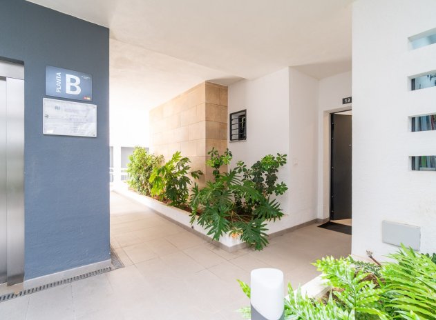 Herverkoop - Appartement - Orihuela Costa - Playa Flamenca