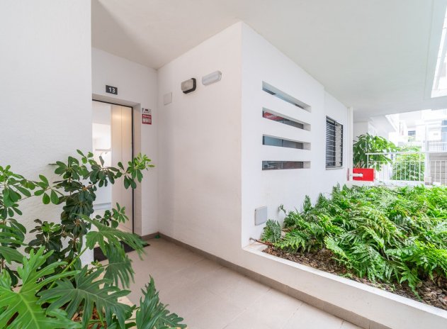 Herverkoop - Appartement - Orihuela Costa - Playa Flamenca