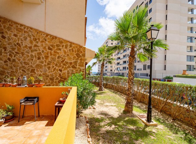 Herverkoop - Appartement - Punta Prima