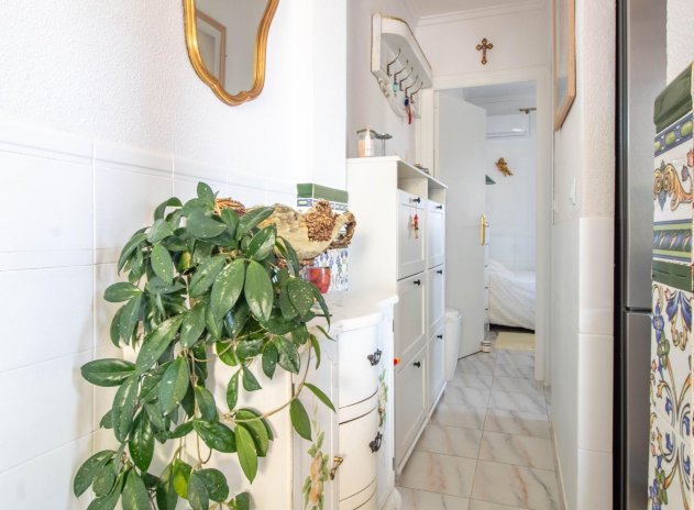 Wiederverkauf - Wohnung - Torrevieja