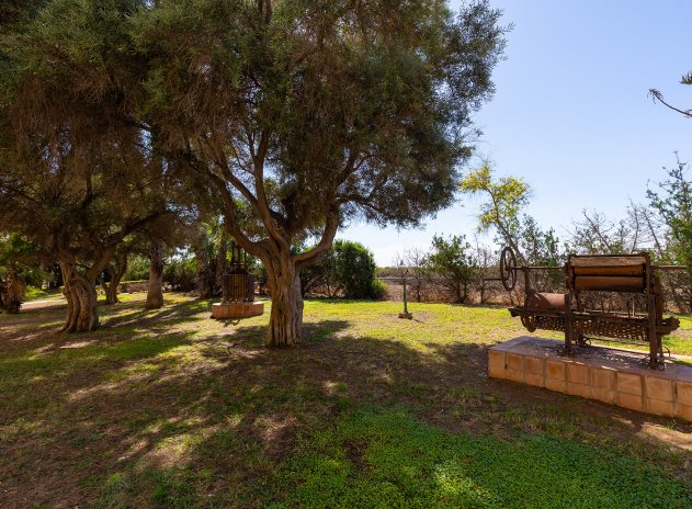Wiederverkauf - Wohnung - Torrevieja - La Mata