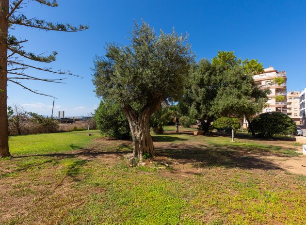 Wiederverkauf - Wohnung - Torrevieja - La Mata