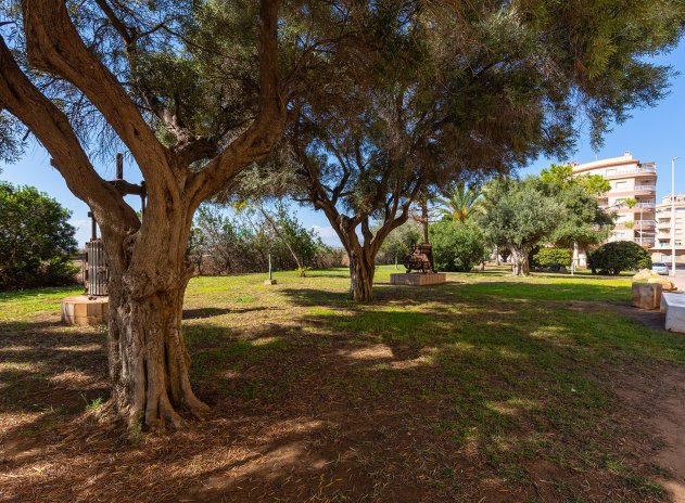 Wiederverkauf - Wohnung - Torrevieja - La Mata