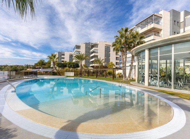 Revente - Appartement - Los Dolses