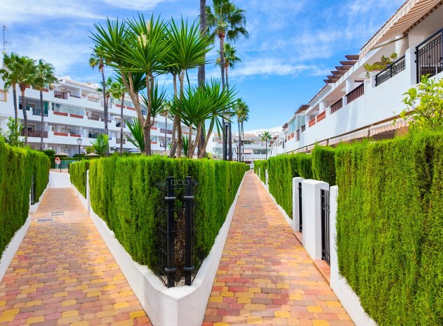 Herverkoop - Appartement - Orihuela Costa - Villamartín