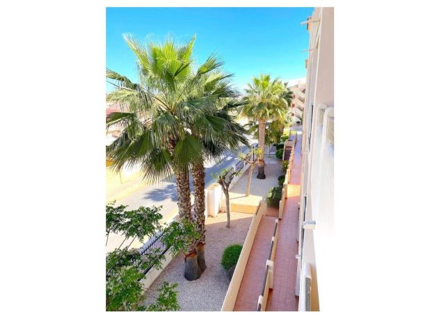 Revente - Appartement - Playa Flamenca - Orihuela Costa