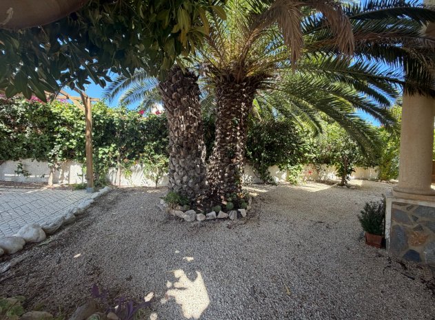 Herverkoop - Villa - Rojales - Lo Pepin