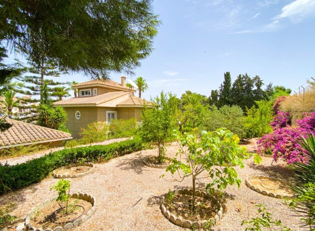 Herverkoop - Villa - Villamartin - Villamartín