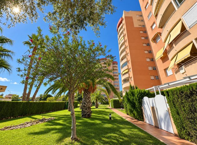 Herverkoop - Apartment / Duplex - Orihuela Costa - Campoamor