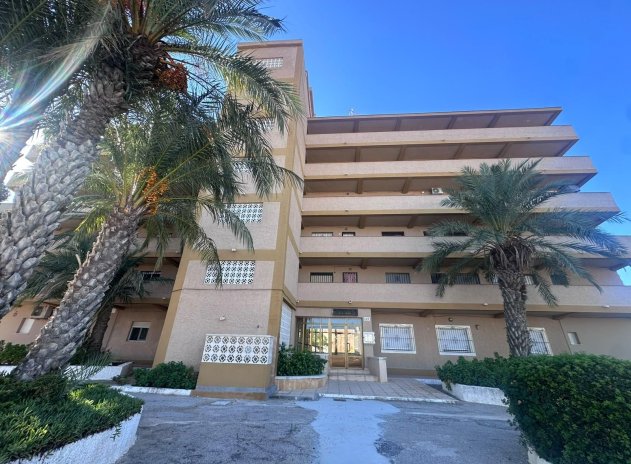 Reventa - Apartamento / Piso - Guardamar del Segura