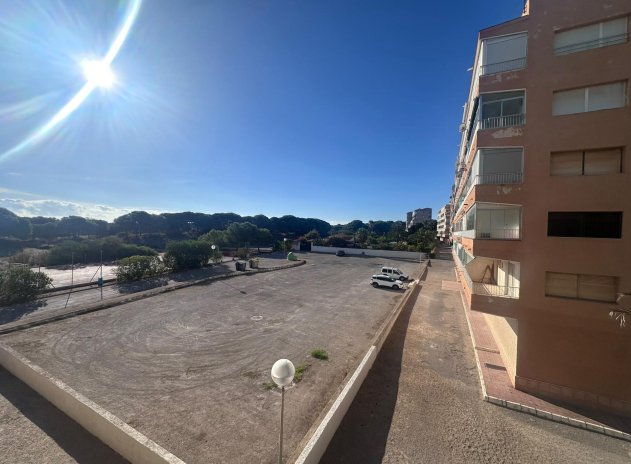 Reventa - Apartamento / Piso - Guardamar del Segura