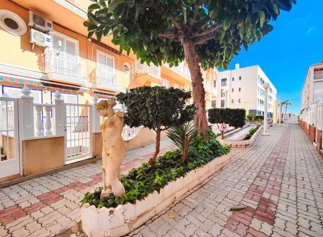 Herverkoop - Appartement - Torrevieja - La Mata