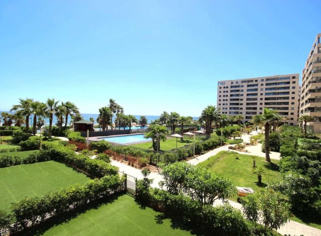 Herverkoop - Appartement - Torrevieja - Punta Prima