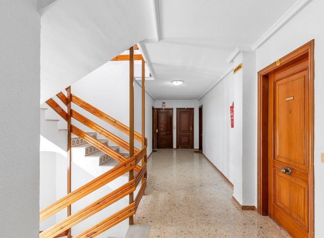 Herverkoop - Appartement - Torrevieja - Acequion