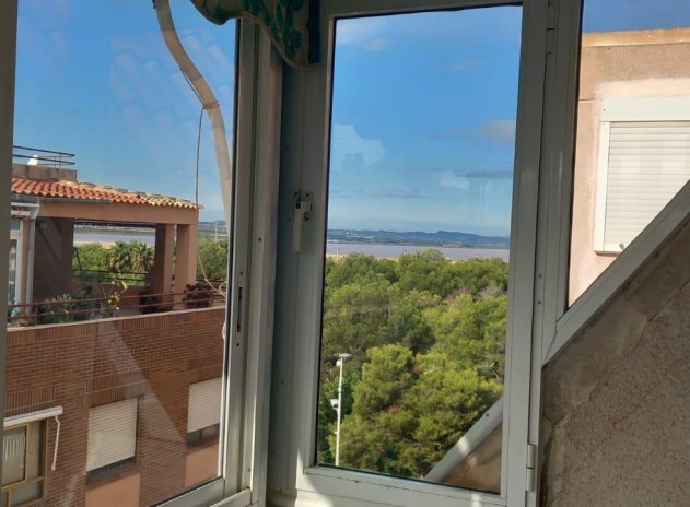 Herverkoop - Appartement - Torrevieja - Acequion