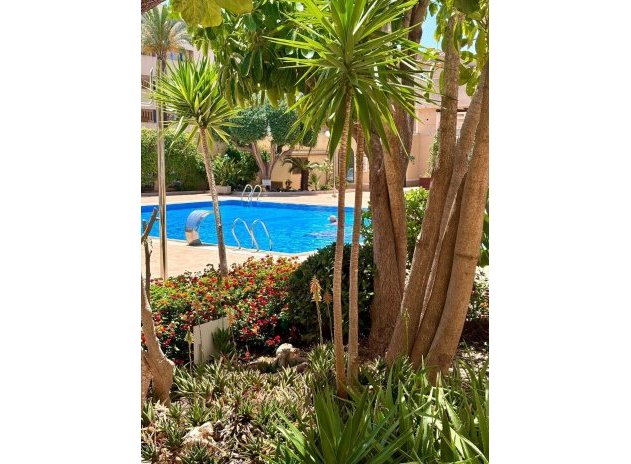Herverkoop - Appartement - Orihuela Costa - Campoamor
