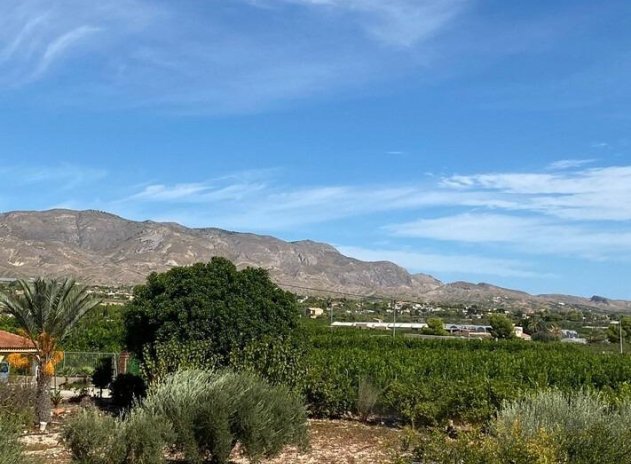 Herverkoop - Finca / Plattelands Woning - Albatera - Pueblo 11