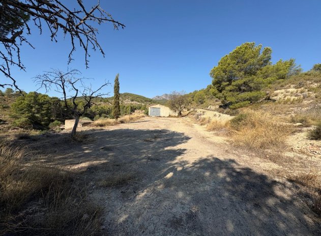 Herverkoop - Finca / Plattelands Woning - Villajoyosa - El Secanet - Hacienda del Sol