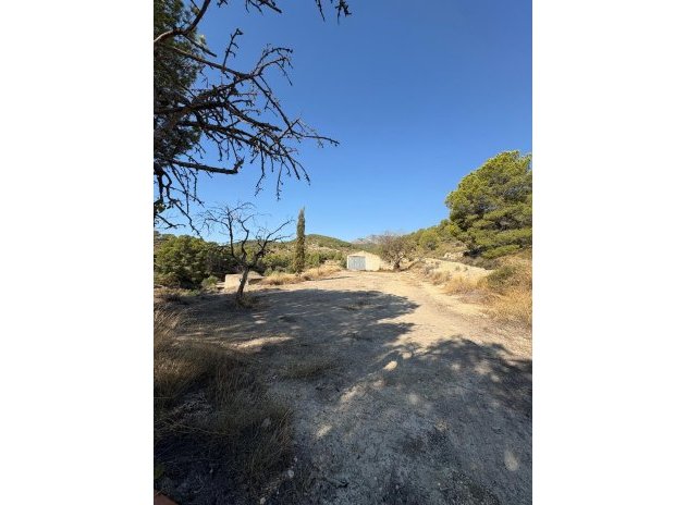 Herverkoop - Finca / Plattelands Woning - Villajoyosa - El Secanet - Hacienda del Sol