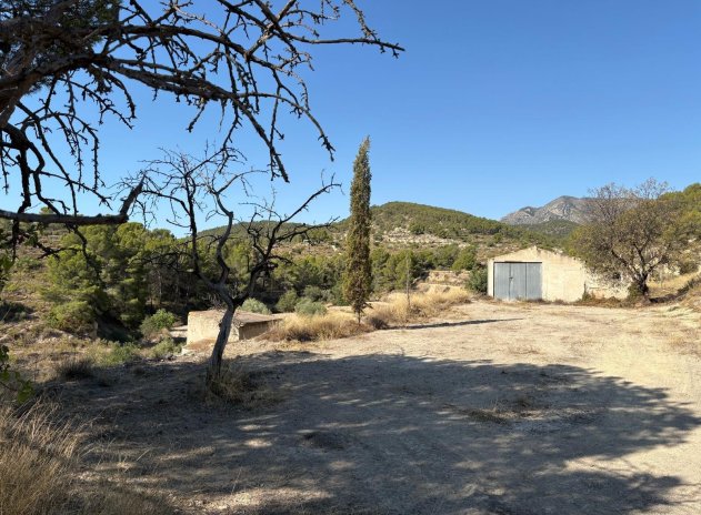 Herverkoop - Finca / Plattelands Woning - Villajoyosa - El Secanet - Hacienda del Sol