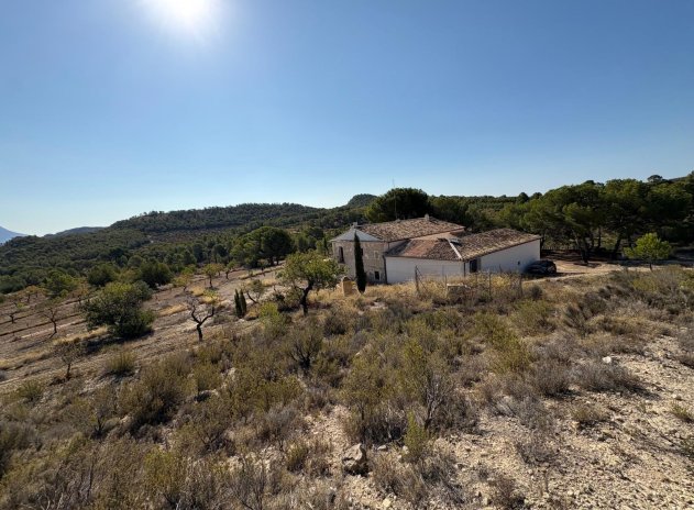 Herverkoop - Finca / Plattelands Woning - Villajoyosa - El Secanet - Hacienda del Sol