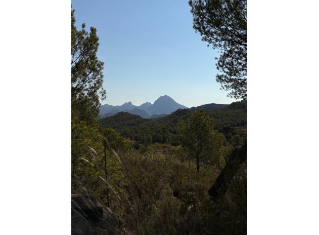 Herverkoop - Finca / Plattelands Woning - Villajoyosa - El Secanet - Hacienda del Sol
