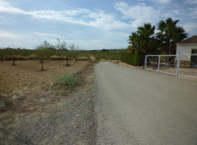 Resale - Finca / Country Property *  - Orihuela * - Desamparados-Hurchillo-Torremendo