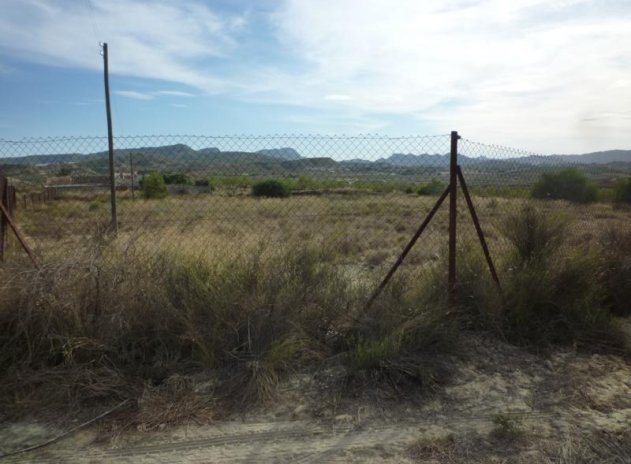 Resale - Finca / Country Property *  - Orihuela * - Desamparados-Hurchillo-Torremendo