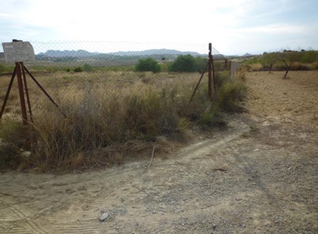 Resale - Finca / Country Property *  - Orihuela * - Desamparados-Hurchillo-Torremendo