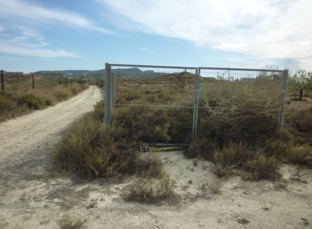 Resale - Finca / Country Property *  - Orihuela * - Desamparados-Hurchillo-Torremendo