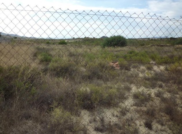 Resale - Finca / Country Property *  - Orihuela * - Desamparados-Hurchillo-Torremendo