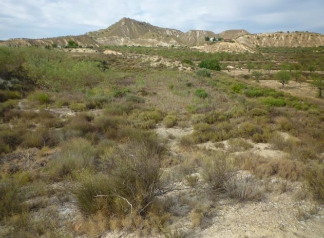 Resale - Finca / Country Property *  - Orihuela * - Desamparados-Hurchillo-Torremendo