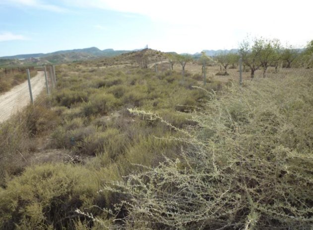 Resale - Finca / Country Property *  - Orihuela * - Desamparados-Hurchillo-Torremendo