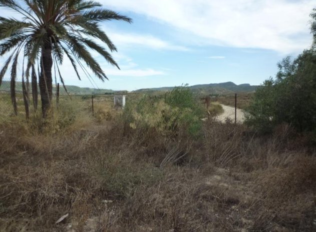 Resale - Finca / Country Property *  - Orihuela * - Desamparados-Hurchillo-Torremendo