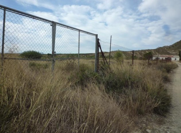 Resale - Finca / Country Property *  - Orihuela * - Desamparados-Hurchillo-Torremendo