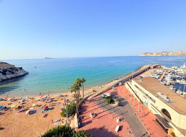 Herverkoop - Appartement - Benidorm - Poniente