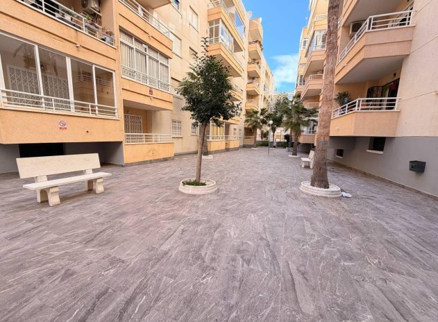 Wiederverkauf - Wohnung - Torrevieja - Acequion