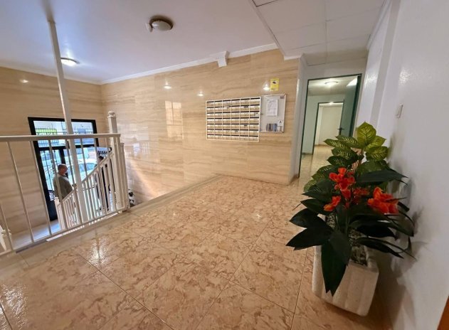 Wiederverkauf - Wohnung - Torrevieja - Acequion