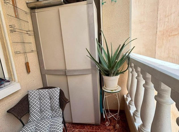 Wiederverkauf - Wohnung - Torrevieja