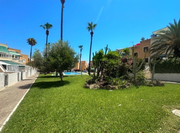Herverkoop - Appartement - Torrevieja - Torreblanca