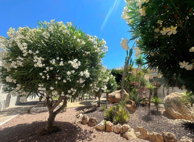 Herverkoop - Appartement - Torrevieja - Torreblanca