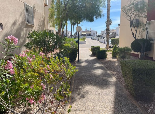 Herverkoop - Appartement - Orihuela Costa - Playa Flamenca