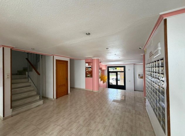 Herverkoop - Appartement - Torrevieja - Acequion